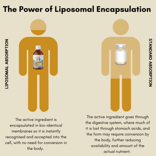 Liposomal Magnesium (Age 1+) - Image 6